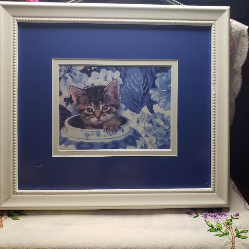 Professionally Framed And Matted Tabby Kitten Art in Blue and White
